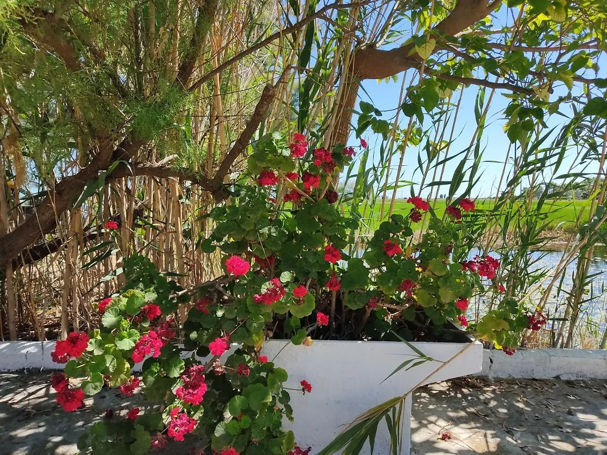 Lo Mas De Suriaca Villa El Poblenou del Delta Holiday home